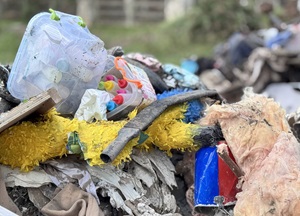 “Photos and videos cannot convey the sheer magnitude of the loss…”